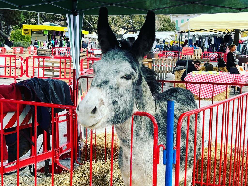 fiera anime bordighera