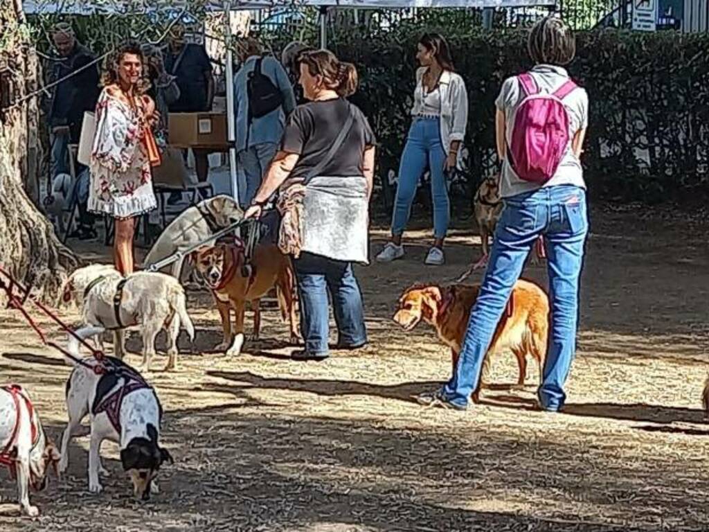 bordighera dog show